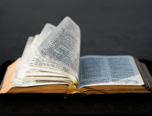 The Bible And Freewill