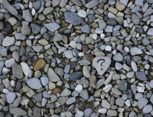 Seventh Day Adventists