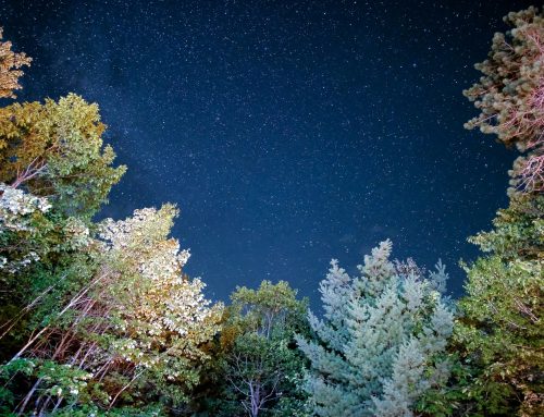 Why Create a World That Would Fall?