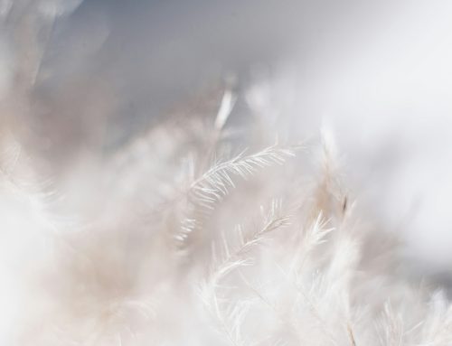 Jesus and the Holy Spirit