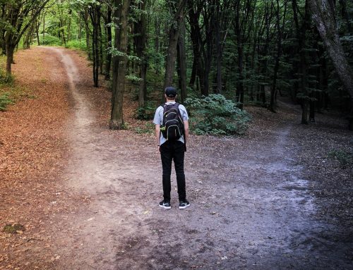 Freewill and Predestination