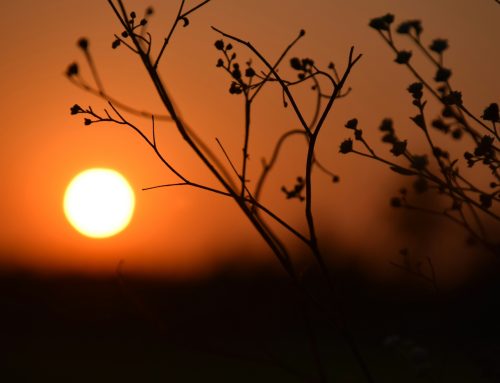 Did God Forgive From The Beginning